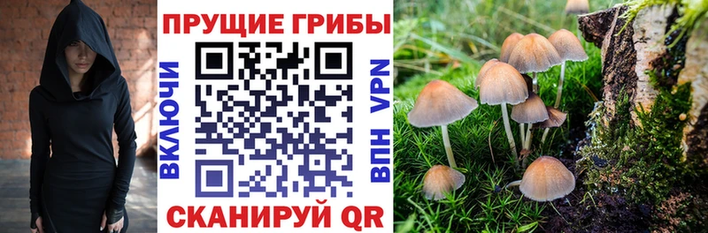 Псилоцибиновые грибы GOLDEN TEACHER Обь